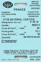 Certifications des bois et Plants de Vigne - ONIVINS